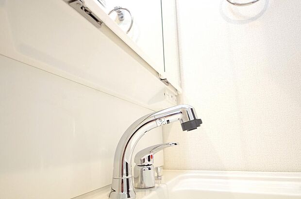 洗面台の給水口はホースが伸びるので朝シャン出来ます。シングルレバーでお湯の温度も楽々調整出来ます。