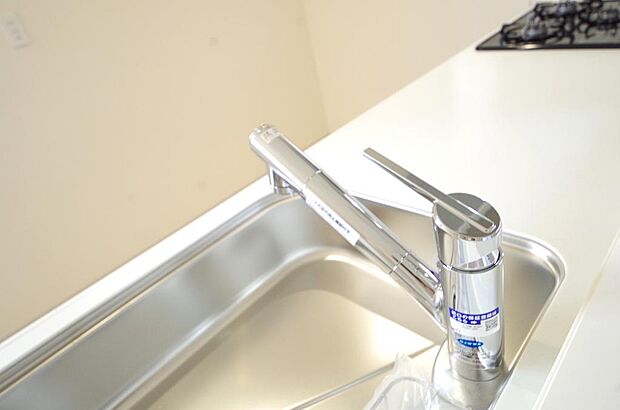 レバー操作一つで水量、温度も調節可能です。また、蛇口には浄水カートリッジも内蔵可能です。