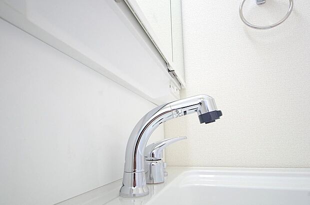 洗面台の給水口はホースが伸びるので朝シャン出来ます。シングルレバーでお湯の温度も楽々調整出来ます。
