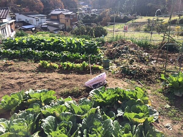 その他を拡大表示