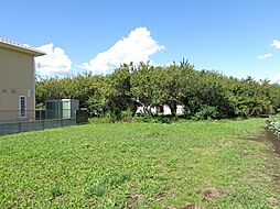 茨城県那珂郡東海村石神内宿