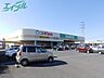 周辺：スギ薬局サンシ生桑店 492m