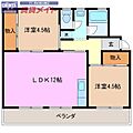 メゾンシエロ4階4.3万円