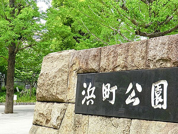 春は桜が綺麗なとても広い公園です。