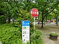 そこそこの広さ...