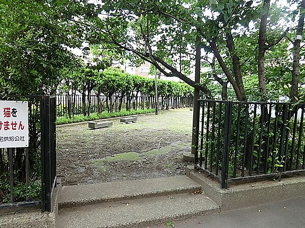 緑あふれる公園です。