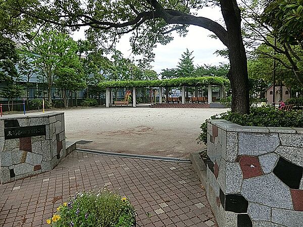 周辺を拡大表示