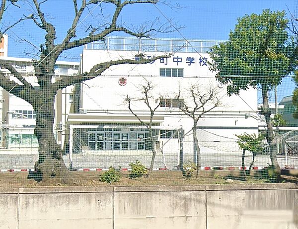 校庭は狭いですが、体育館の他にダンスなどで使えるプレーホールがあります。進学実績が良いです。