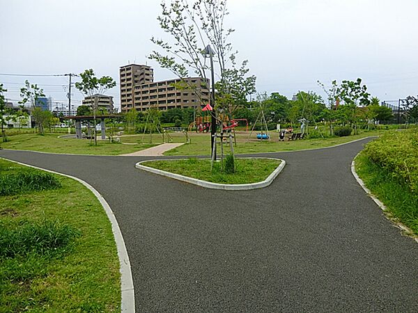 体を動かすのに最適な、緑豊かな大きな公園です。
