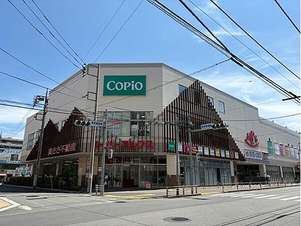 スーパーアルプス西八王子駅前店まで377m、徒歩5分。HPでチラシの閲覧が可能。営業時間は9:30～22:30。ドラッグストアやベーカリー、クリニックなど、生活至便施設が併設されています。