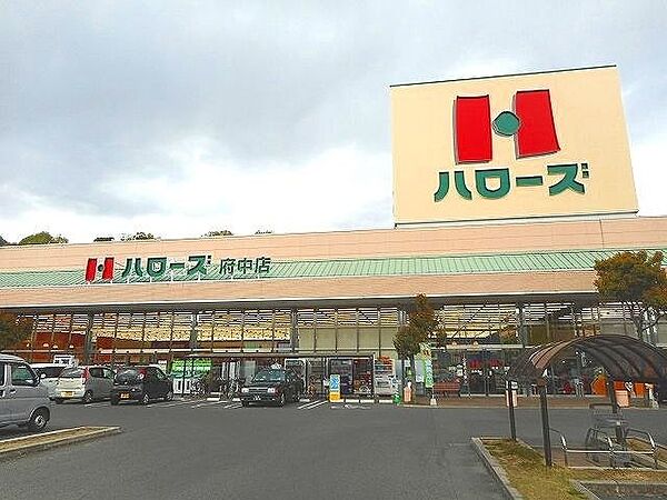 画像17:ハローズ府中店まで1200m