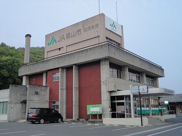 画像14:【銀行】JA福山市加茂支店まで603ｍ