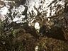 周辺：目の前の清流