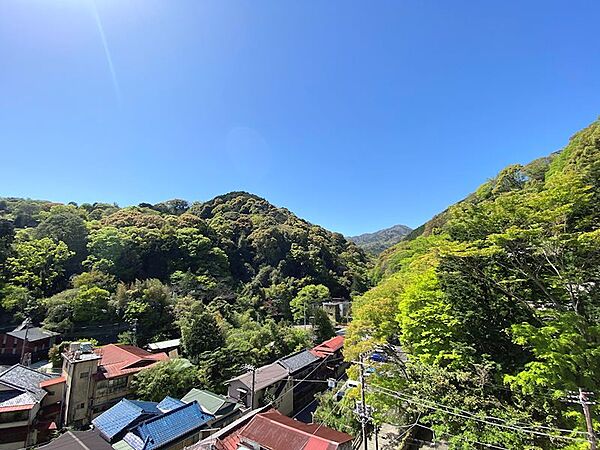バルコニーから北西方向には箱根の山々を望めます。桜の季節や紅葉の季節も愉しめます。（オーナー様談）