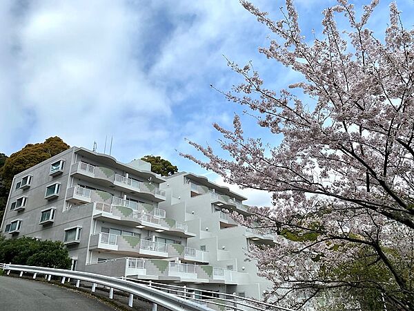 春になるとマンション周辺には桜景色が広がります。ご内見是非ともお待ちしております。