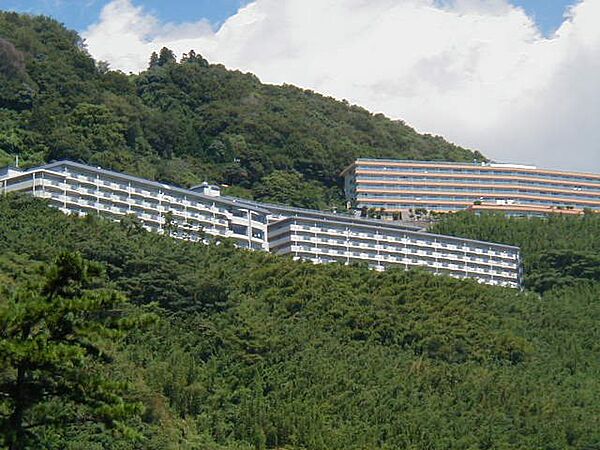 外観：322000588519