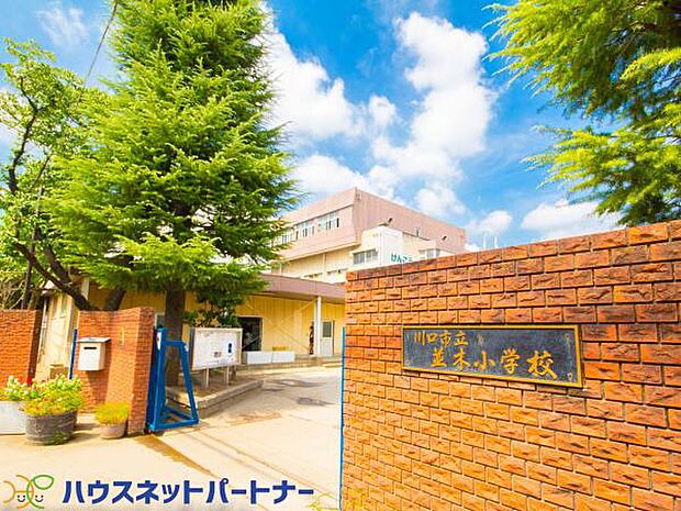 周辺環境-小学校(250m)川口市立並木小学校