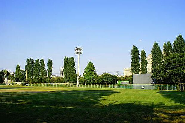 周辺環境-公園(600m)富士見公園