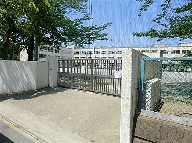 周辺環境-小学校(290m)桜花小学校