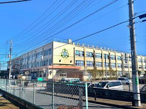 周辺環境-小学校(700m)古千谷小学校