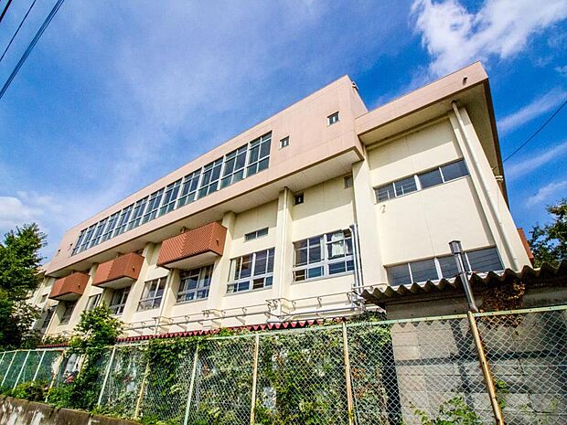 周辺環境-小学校(300m)柳崎小学校