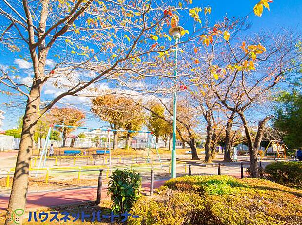 周辺環境-公園(450m)新井町公園