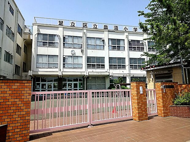 周辺環境-小学校(349m)皿沼小学校