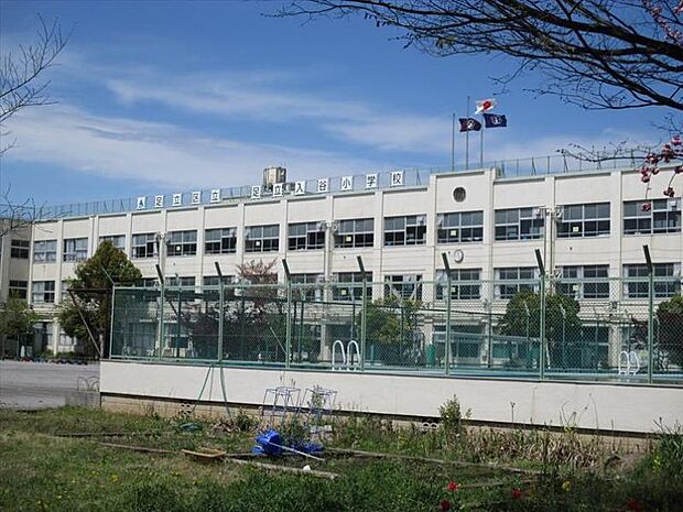 周辺環境-小学校(300m)入谷小学校