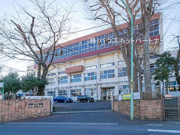 周辺環境-小学校(1400m)神根小学校