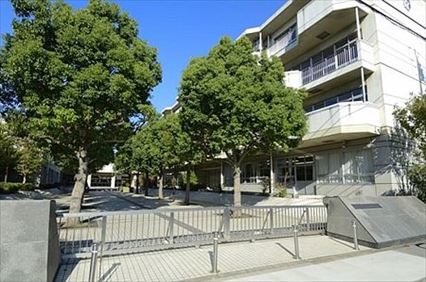 周辺環境-中学校(1220m)入谷南中学校