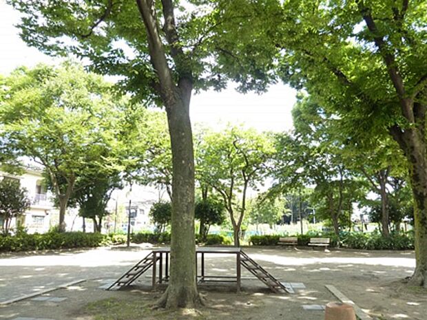 周辺環境-公園(220m)足立区立扇南公園