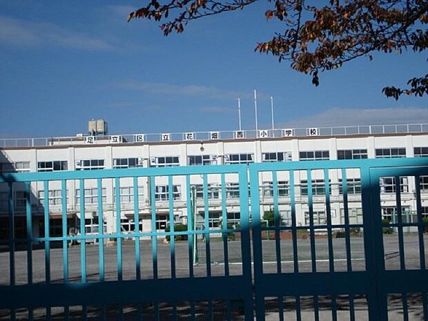 周辺環境-小学校(260m)花畑西小学校