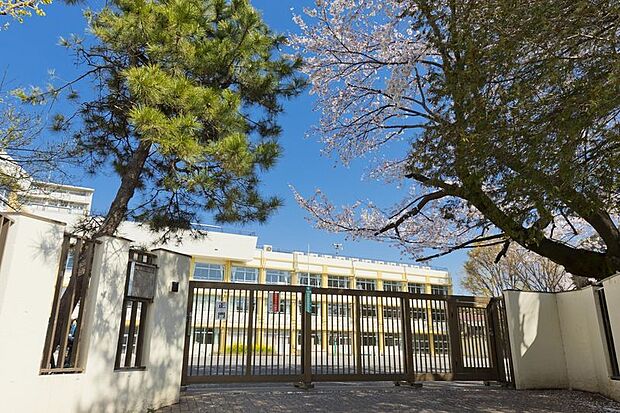 周辺環境-小学校(600m)板橋区立板橋第八小学校