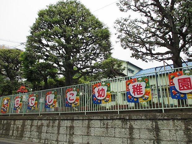 周辺環境-幼稚園・保育園(800m)なでしこ幼稚園