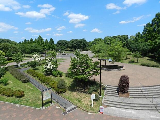 周辺環境-公園(900m)舎人公園