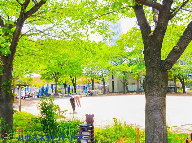 周辺環境-公園(300m)芝川公園