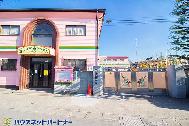 周辺環境-幼稚園・保育園(950m)たちばな幼稚園