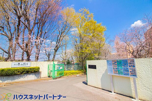 周辺環境-中学校(240m)小谷場中学校