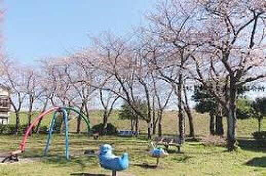 周辺環境-公園(1300m)中川二丁目公園