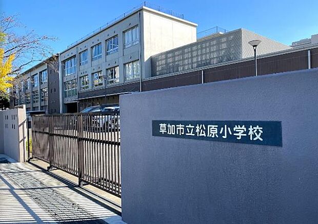 周辺環境-小学校(800m)松原小学校