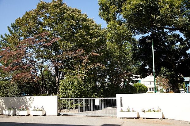 周辺環境-中学校(720m)栄中学校