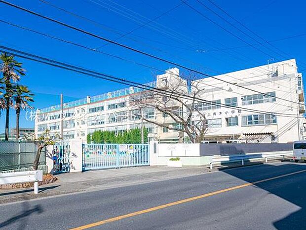 周辺環境-小学校(1100m)川口市立上青木小学校