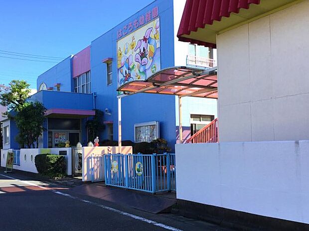 周辺環境-幼稚園・保育園(800m)はごろも幼稚園