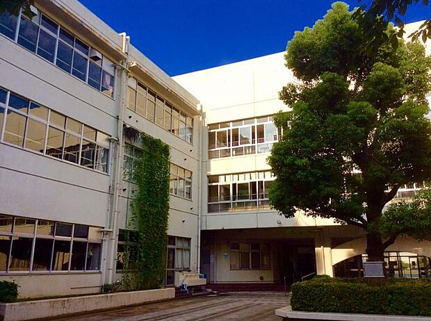 周辺環境-中学校(2200m)板橋区立志村第五中学校