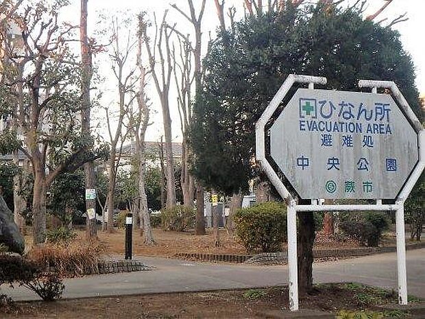 周辺環境-公園(65m)中央公園