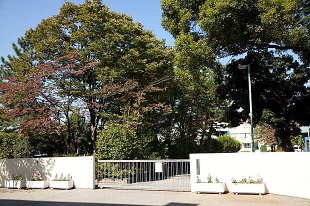 周辺環境-中学校(1100m)草加市立栄中学校