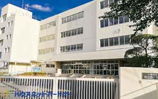 周辺環境-小学校(350m)八潮市立柳之宮小学校