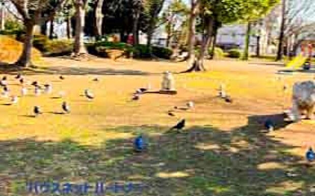 周辺環境-公園(1100m)八潮中央公園