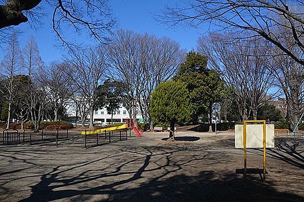 周辺環境-公園(600m)八潮中央公園