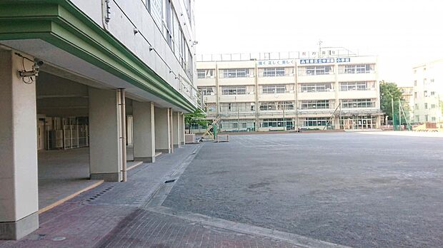 周辺環境-小学校(570m)板橋区立中根橋小学校